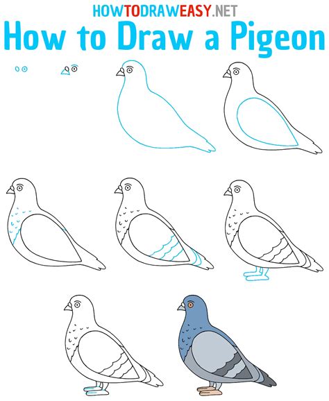 How to Draw a Pigeon Really Easy Drawing Tutorial