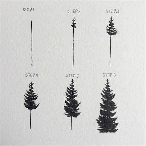 Simple Pine Tree Drawing at Explore collection of