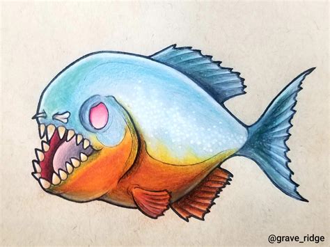 Gallery For > Piranha Fish Drawings piranhas Pinterest