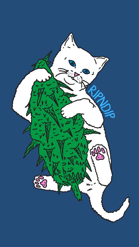 How To Draw Ripndip Cat