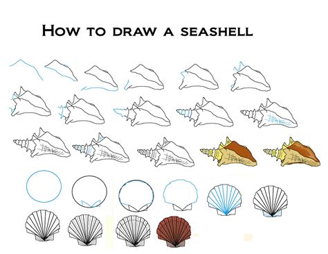 How to Draw a Sea Turtle Art Projects for Kids