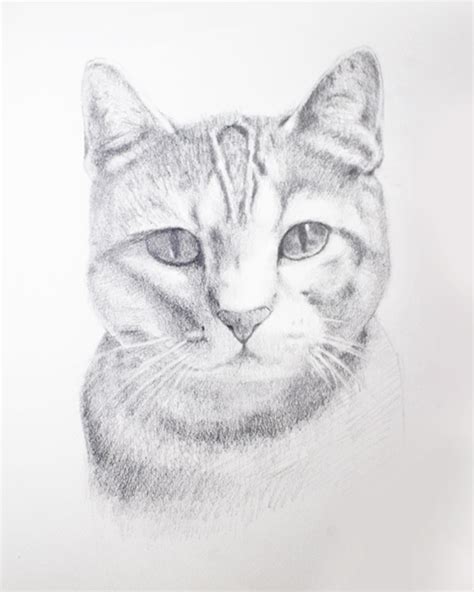  25 Idea How To Draw Sketches Online With Creative Ideas