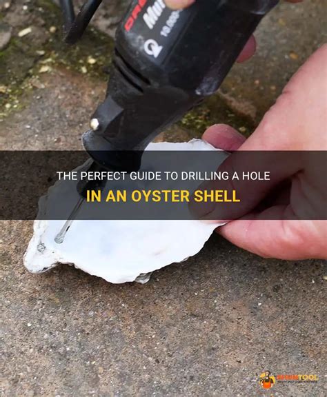 how to drill a hole in an oyster shell