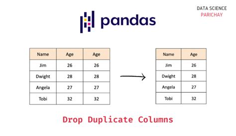 how to drop duplicate rows in pandas based on a column