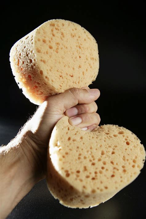 How To Dry A Sponge