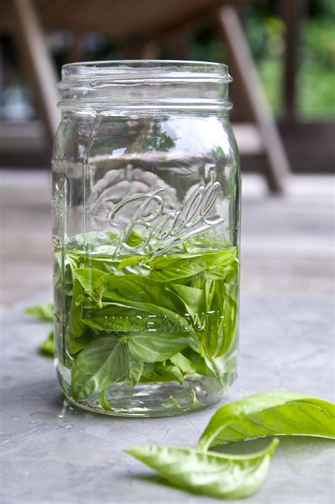 how to dry out basil from the garden