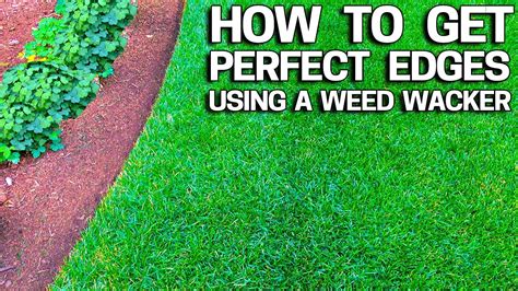 How To Edge With Weed Wacker