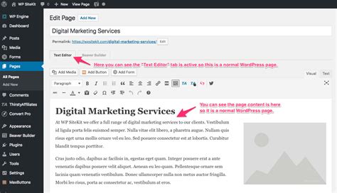 how to edit text in wordpress website