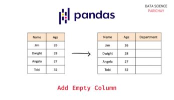 how to empty a dataframe in pandas