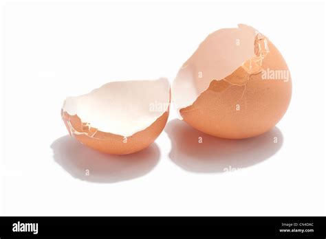 How To Empty An Egg Shell