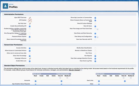 how to enable api for user in salesforce