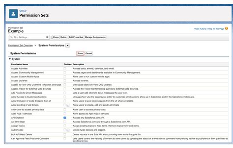 how to enable api permissions in salesforce