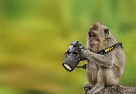 how to enable camera on monkey