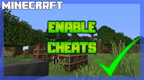 How To Enable Cheats In Mc Java