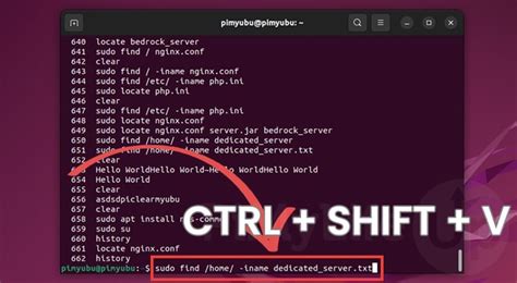 how to enable copy and paste in ubuntu terminal