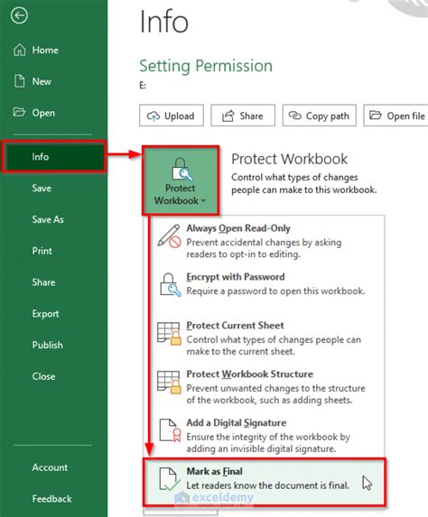 how to enable edit permission in excel