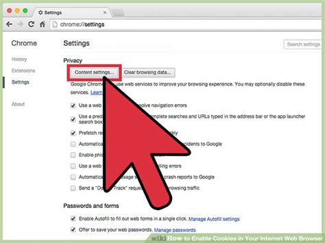how to enable javascript and cookies in browser