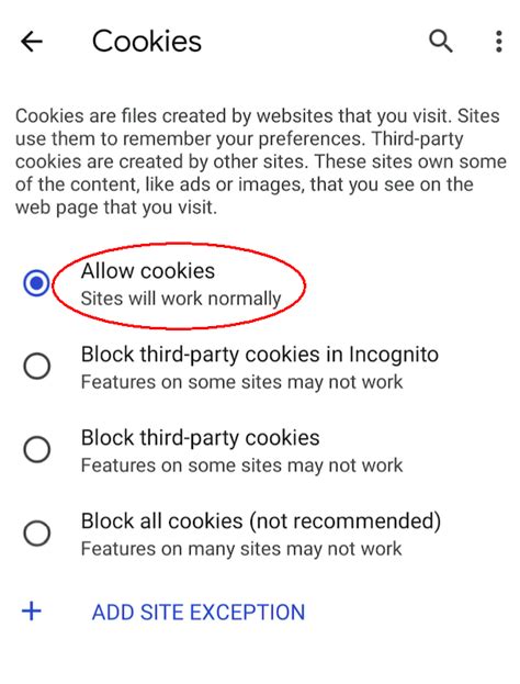 how to enable javascript and cookies on android phone