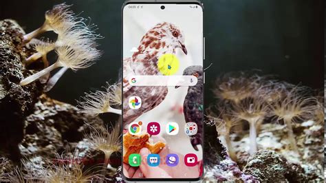 how to enable javascript on samsung s20