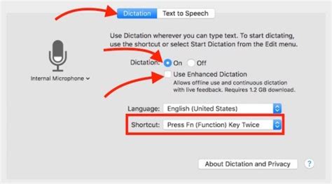 how to enable speech to text on macbook pro
