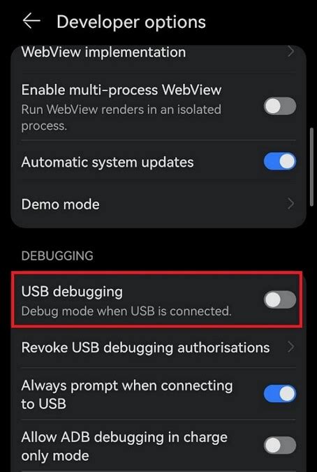 how to enable usb debugging on chromebook