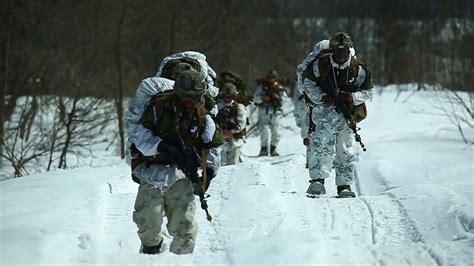 Endure The Cold Celesterre