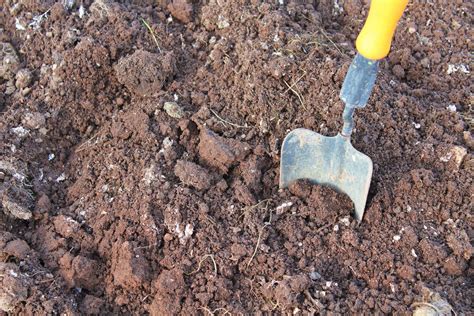 how to enrich poor soil