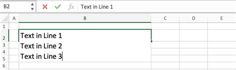 how to enter a new line in excel text box