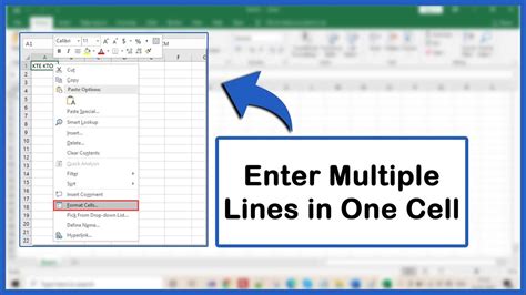 how to enter multiple lines in excel cell mac