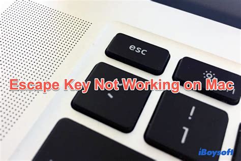 how to escape program on mac
