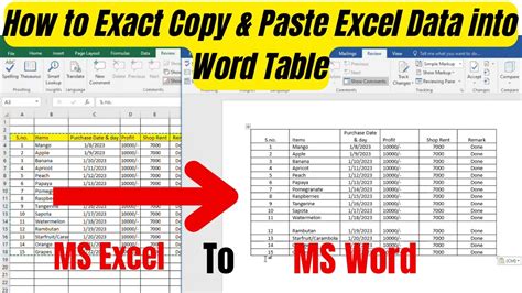 how to exact copy & paste excel data into word table