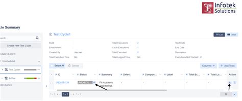 how to execute test cases in manual testing