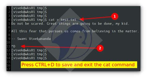 how to exit cat command without saving in linux