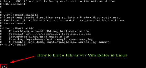how to exit file in linux terminal
