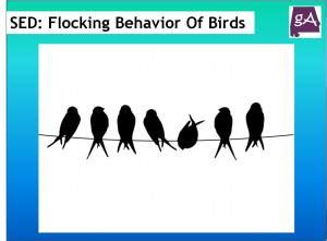 How To Explain Flocking