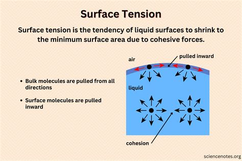 How To Explain Surface Tension To A Kid