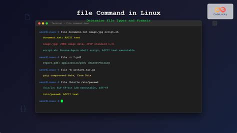 How To Extract Binary Files In Linux
