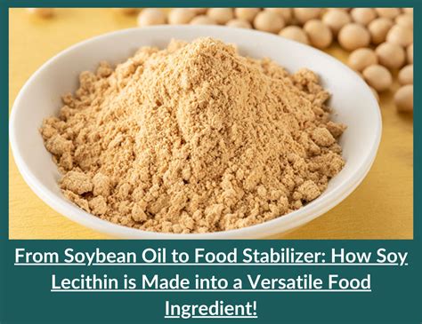 How To Extract Lecithin From Soybean