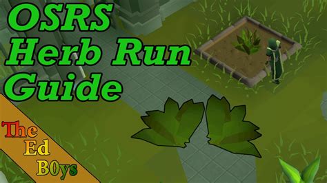 how to farm herbs osrs