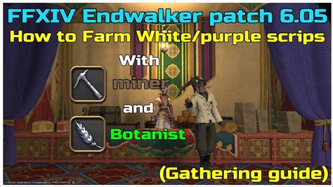 how to farm white gatherer scrips ffxiv