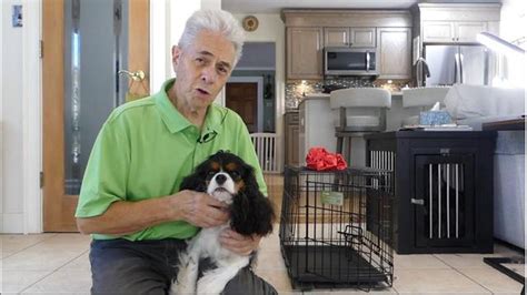 How To Feed Dog In Crate