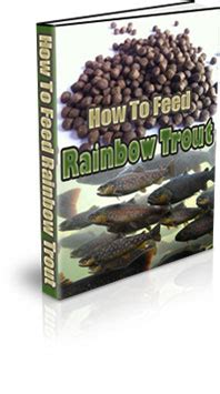 How To Feed Trout