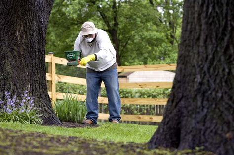 How To Fertilize Landscaping