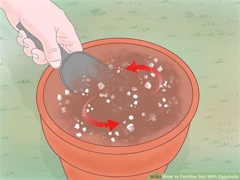 How To Fertilize Soil With Eggshells