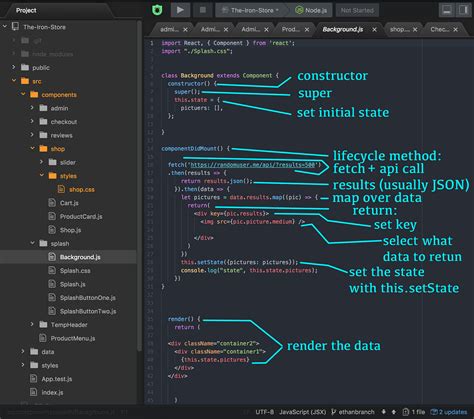 how to fetch data from api in react js functional component