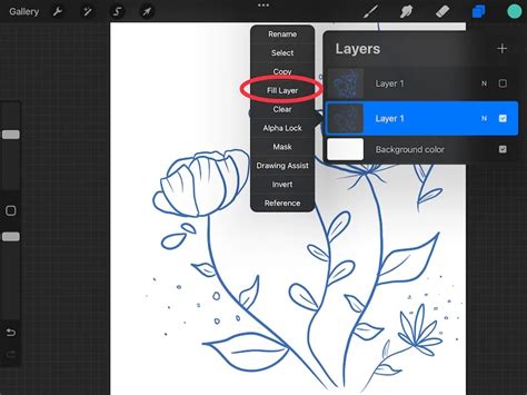 How To Fill An Outline With Color In Procreate