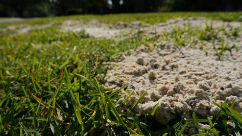 How To Fill In Hole In Grass