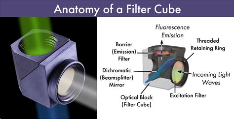 How To Filter Cubes Work