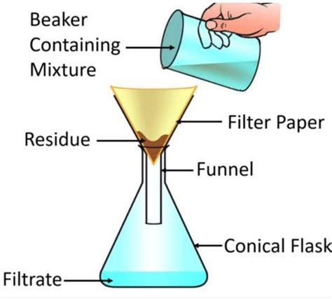 How To Filter Using Filter Paper