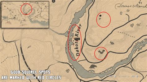 how to find a squirrel in rdr2